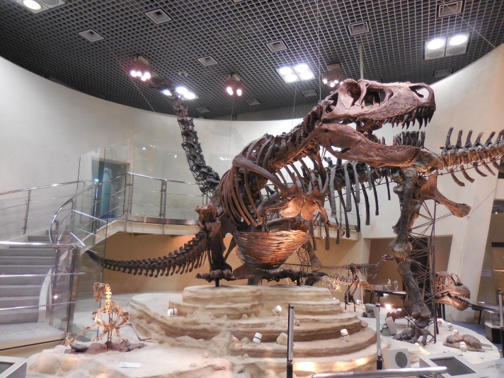 A new view of T. rex at the National Museum of Science and Nature in Ueno.